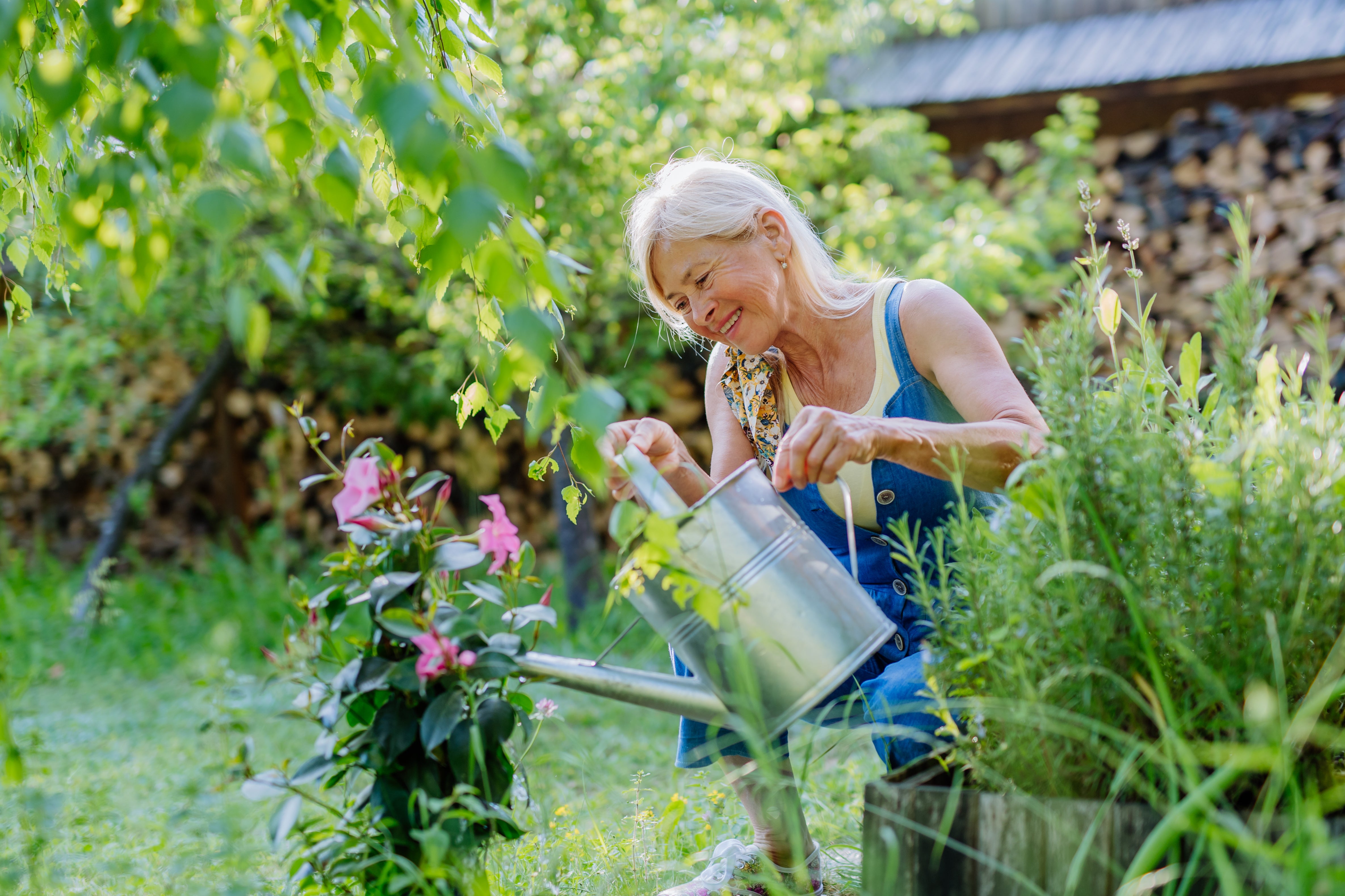 Sustain your busiest days with organic whey protein powder