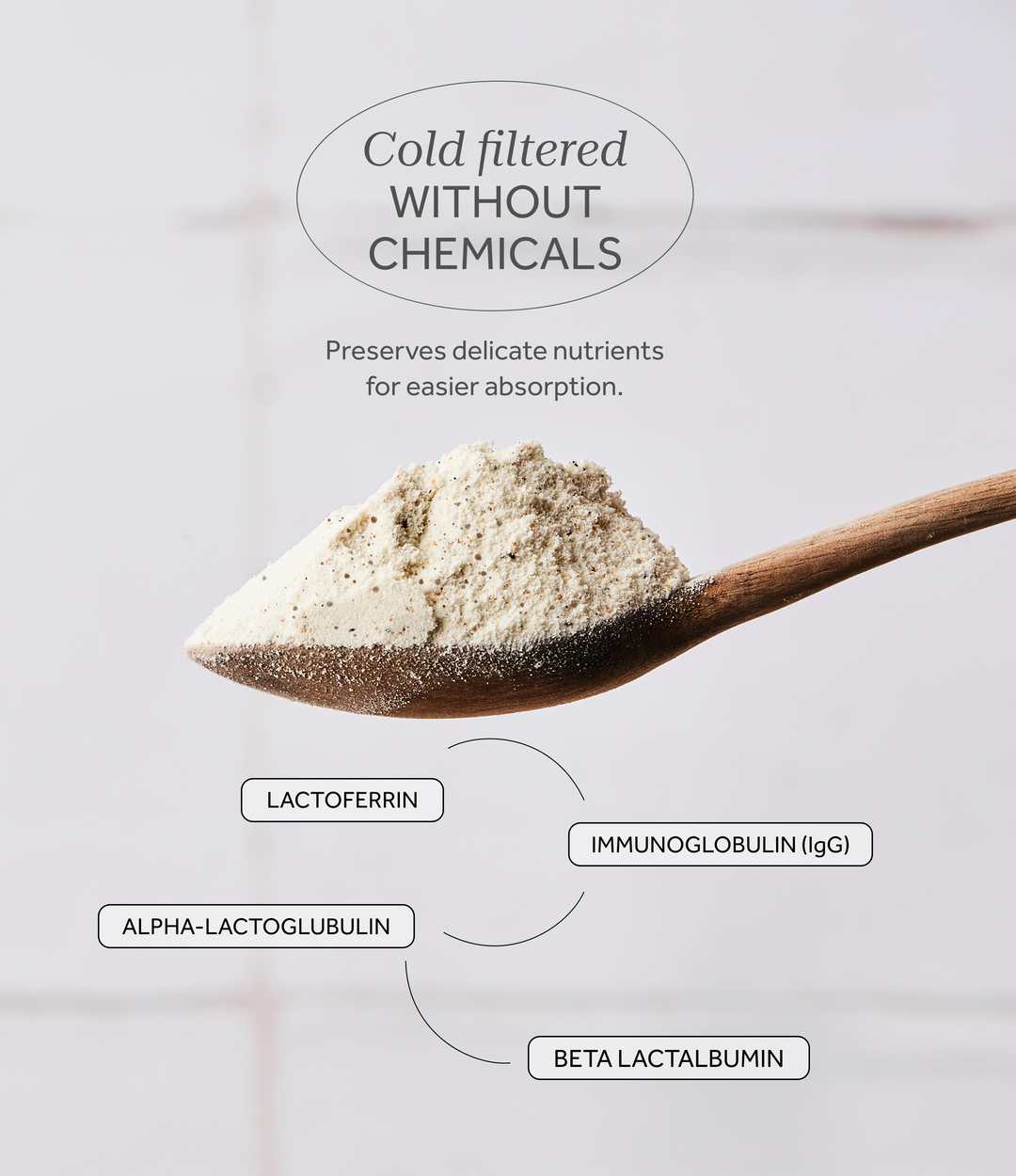 Real Coffee Organic Whey Protein Powder